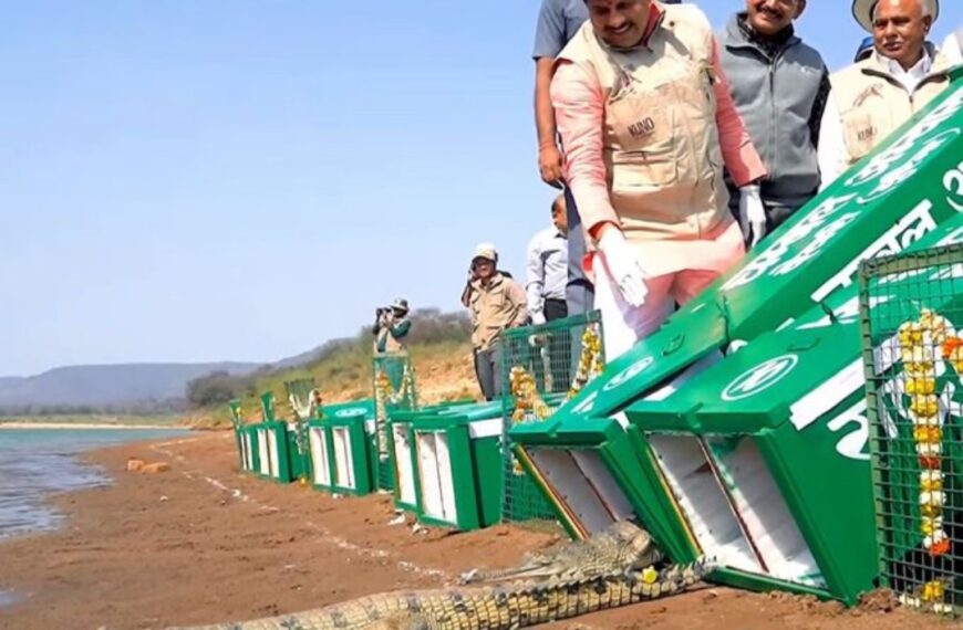 Sheopur में 53 घड़ियाल शावक और 3-धारी कछुए&hellip;